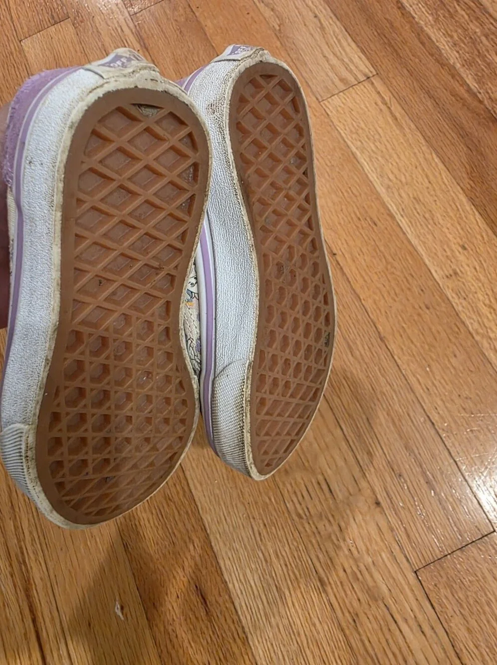 Vans Unicorn Suede Sneakers